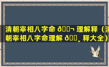 清朝宰相八字命 🐬 理解释（清朝宰相八字命理解 🕸 释大全）
